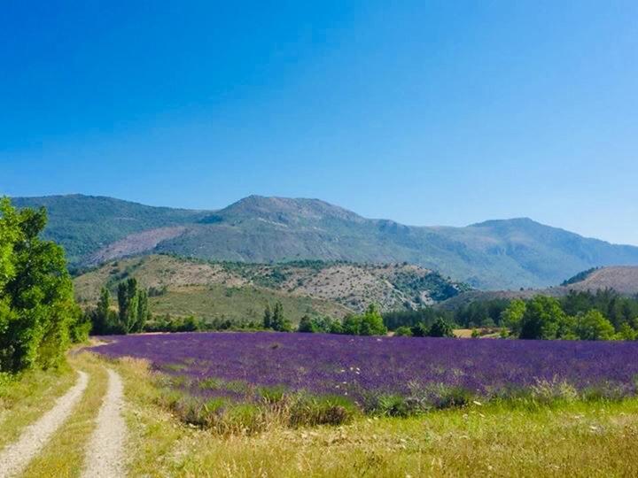 Le Moulin De La Viorne, Gite Avec Piscine Au Coeur De La Nature En Haute-Provence Les Omergues Εξωτερικό φωτογραφία