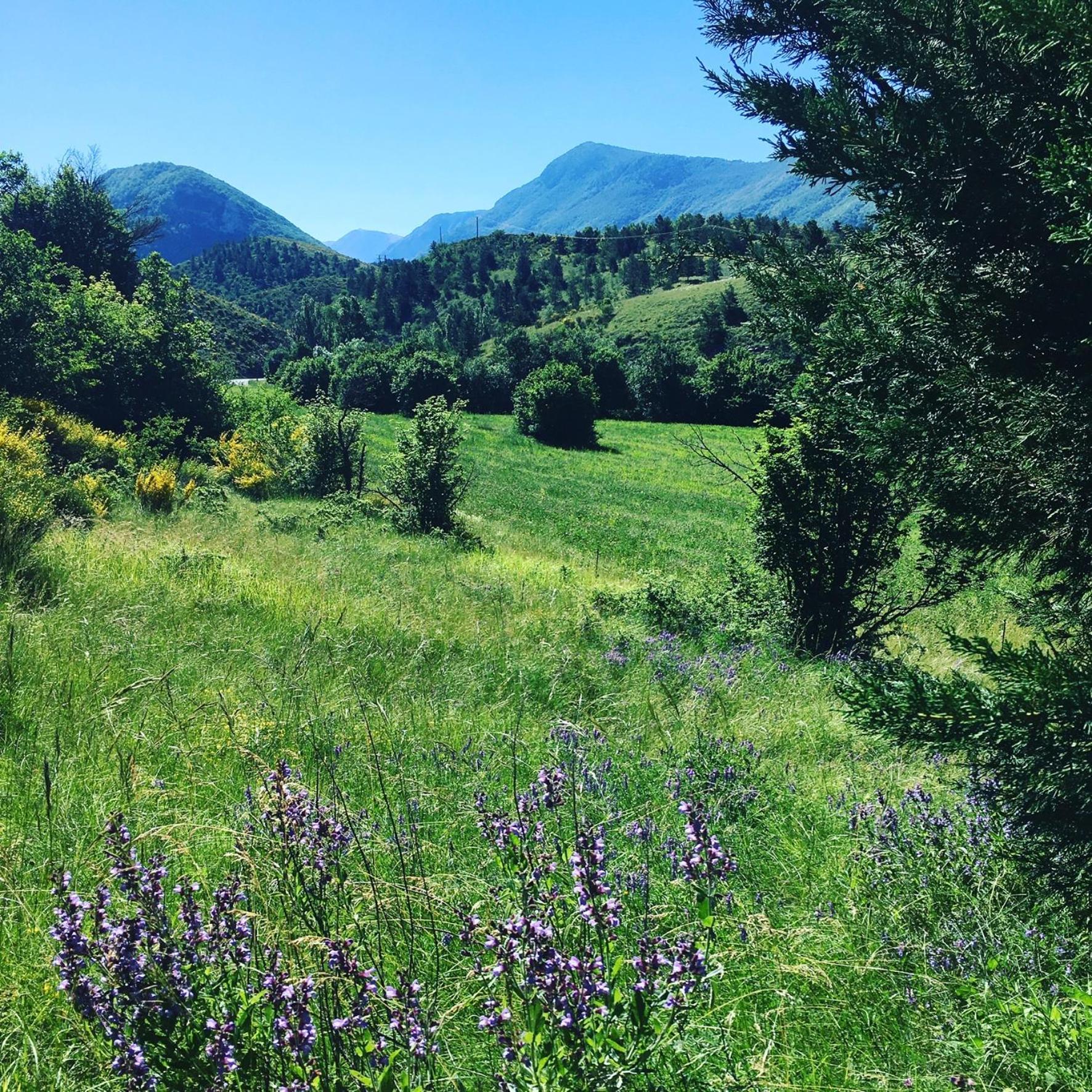 Le Moulin De La Viorne, Gite Avec Piscine Au Coeur De La Nature En Haute-Provence Les Omergues Εξωτερικό φωτογραφία