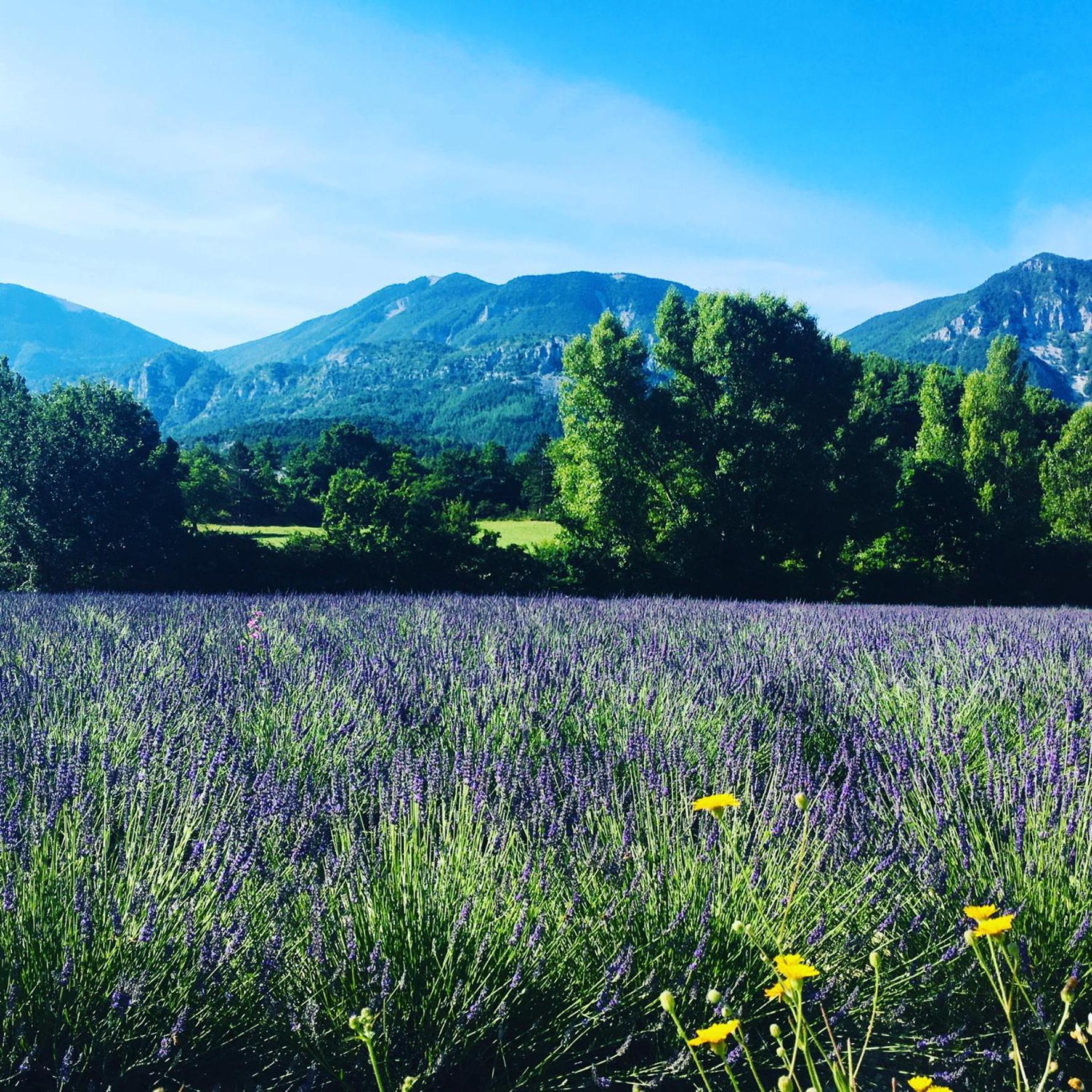 Le Moulin De La Viorne, Gite Avec Piscine Au Coeur De La Nature En Haute-Provence Les Omergues Εξωτερικό φωτογραφία