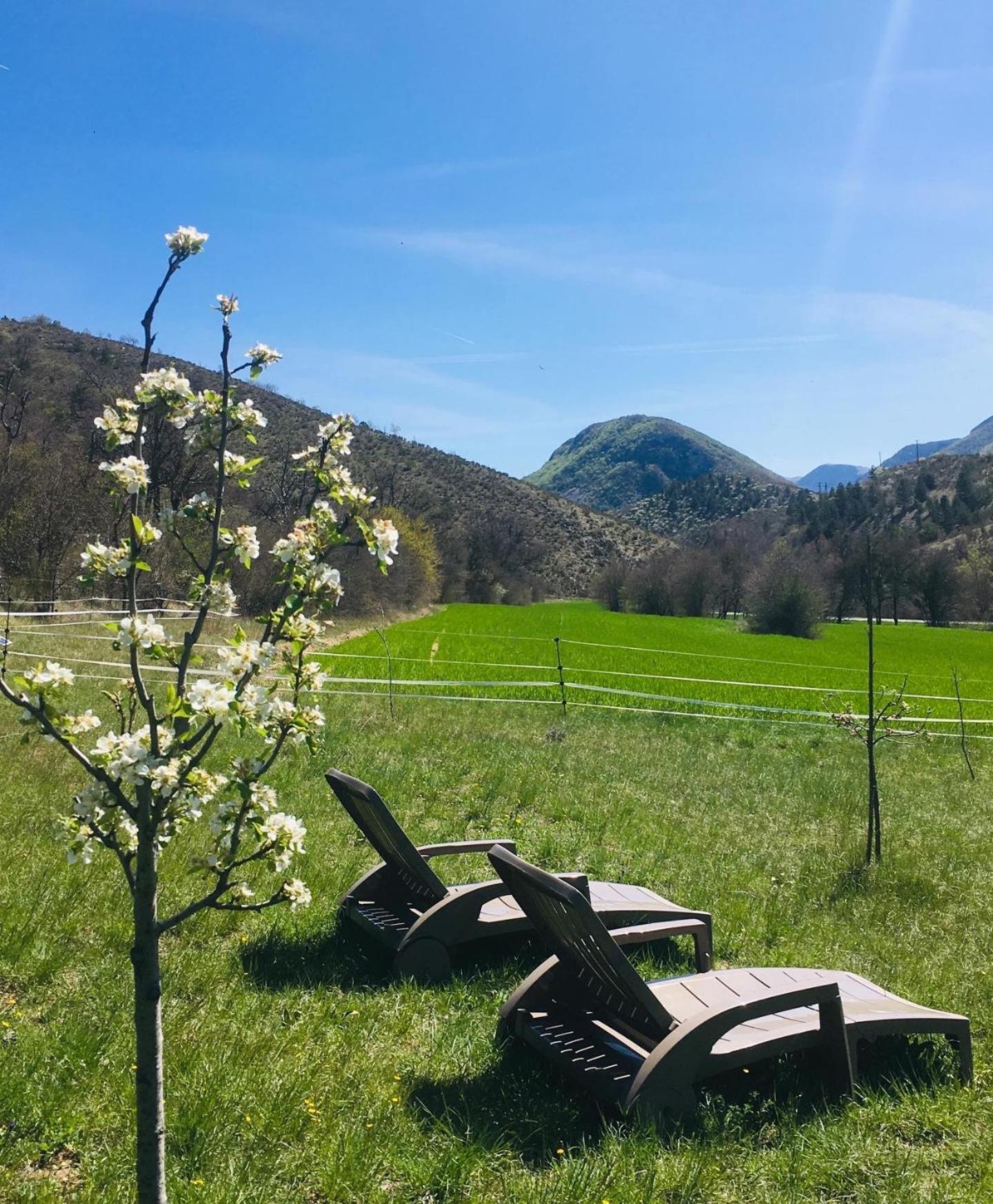 Le Moulin De La Viorne, Gite Avec Piscine Au Coeur De La Nature En Haute-Provence Les Omergues Εξωτερικό φωτογραφία