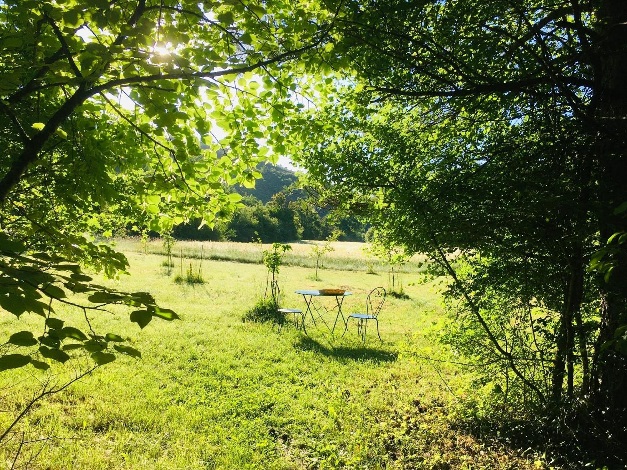 Le Moulin De La Viorne, Gite Avec Piscine Au Coeur De La Nature En Haute-Provence Les Omergues Εξωτερικό φωτογραφία