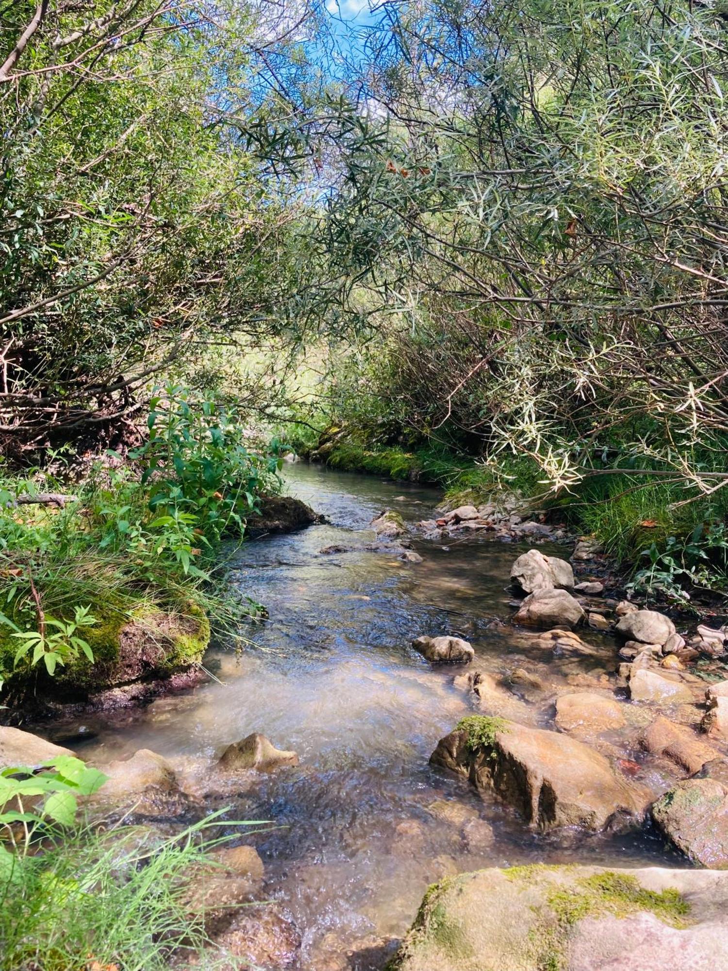 Le Moulin De La Viorne, Gite Avec Piscine Au Coeur De La Nature En Haute-Provence Les Omergues Εξωτερικό φωτογραφία