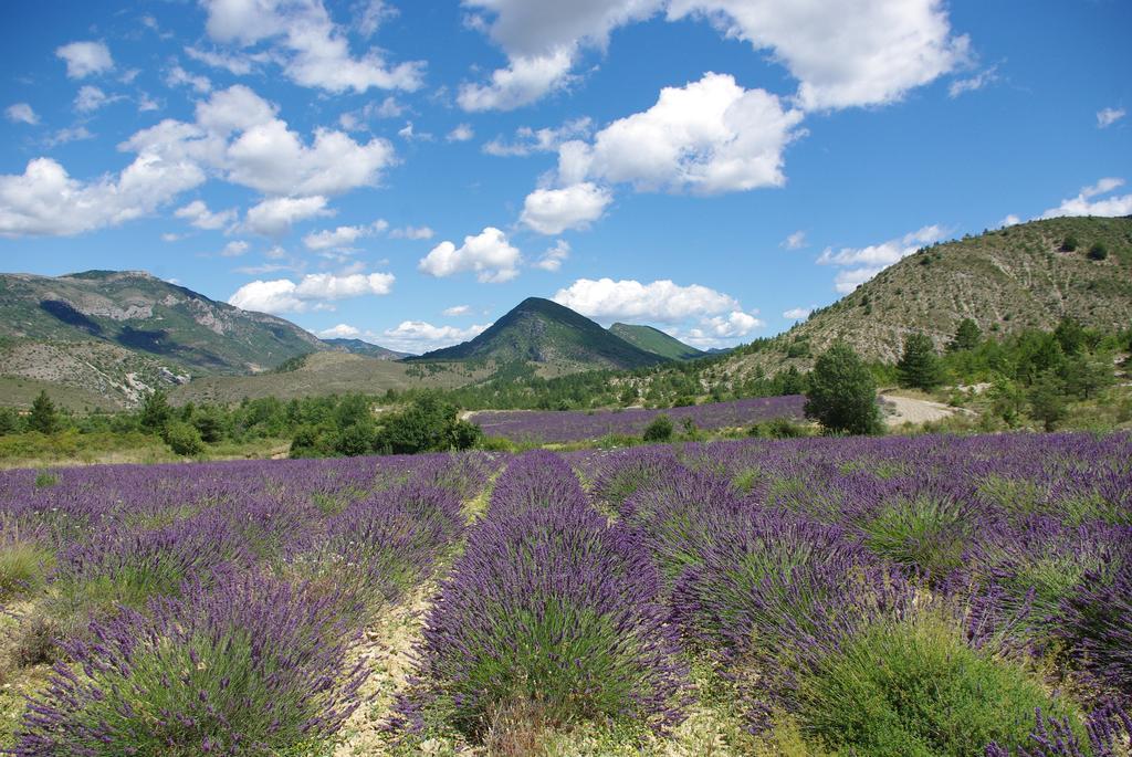 Le Moulin De La Viorne, Gite Avec Piscine Au Coeur De La Nature En Haute-Provence Les Omergues Εξωτερικό φωτογραφία